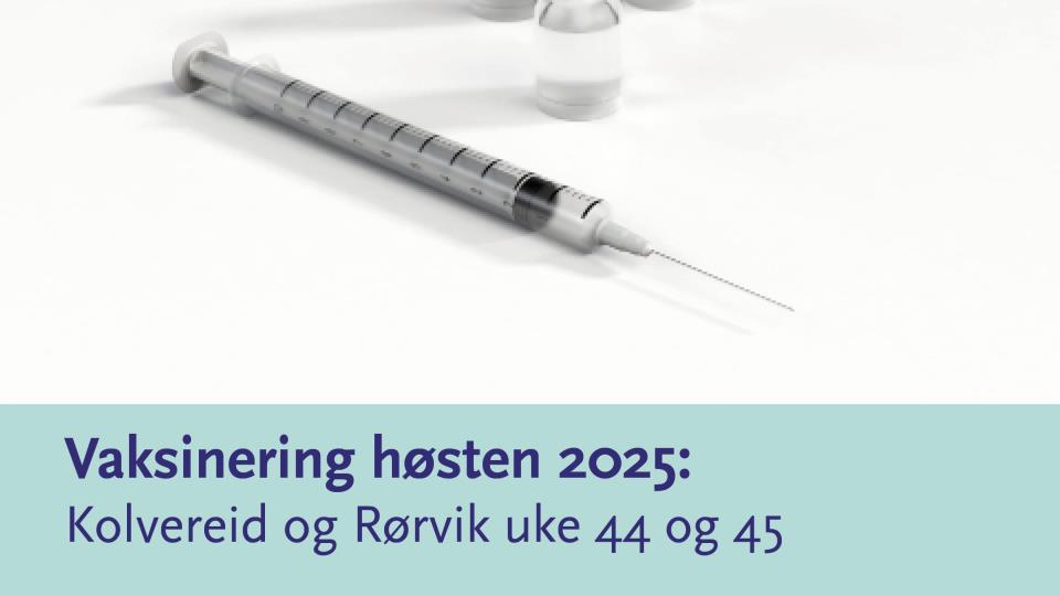 Lenke til artikkel:  Årets influensavaksinering høsten 2026 – Nærøysund kommune