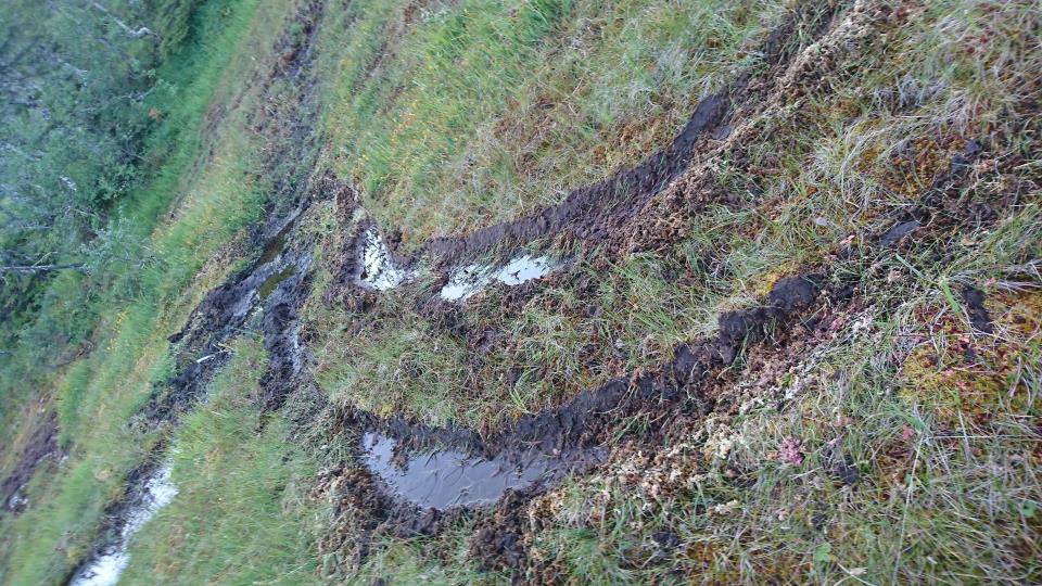 Lenke til artikkel: Ønsker stopp på unødig motorferdsel i utmark
